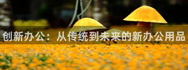 龙八国际手机版下载：创新办公：从传统到未