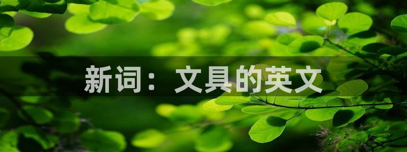 龙八国际手机客户端下载：新词：文具的英文