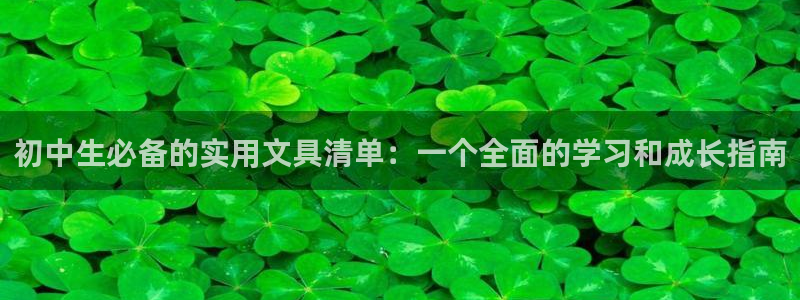 龙八国际long88：初中生必备的实用文