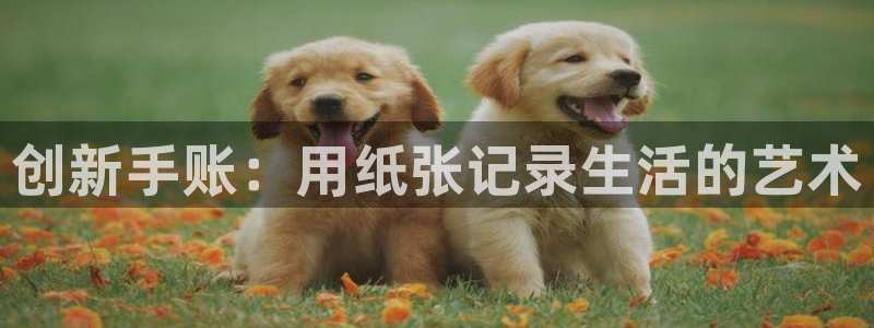 龙八国际官网：创新手账：用纸张记录生活的