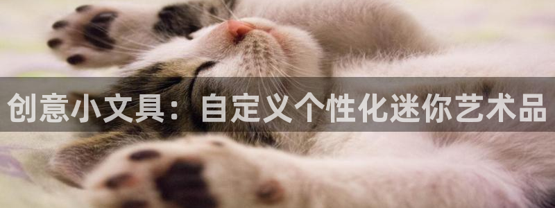 官网龙八国际：创意小文具：自定义个性化迷