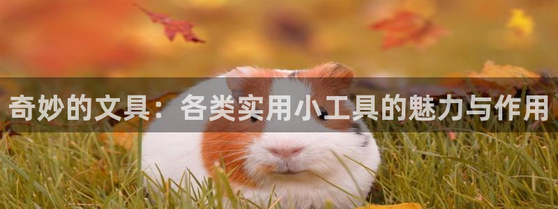 龙八国际娱乐官网app：奇妙的文具：各类