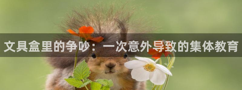 龙八国际官方网站pt：文具盒里的争吵：一