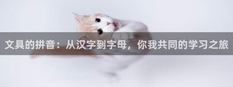 龙八国际娱 乐：文具的拼音：从汉字到字母