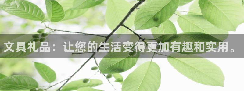 龙八国际是不是黑平台：文具礼品：让您的生