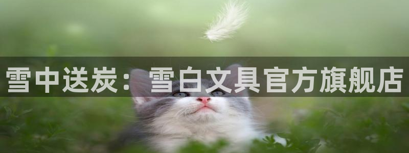 龙八国际手机版官网平台：雪中送炭：雪白文