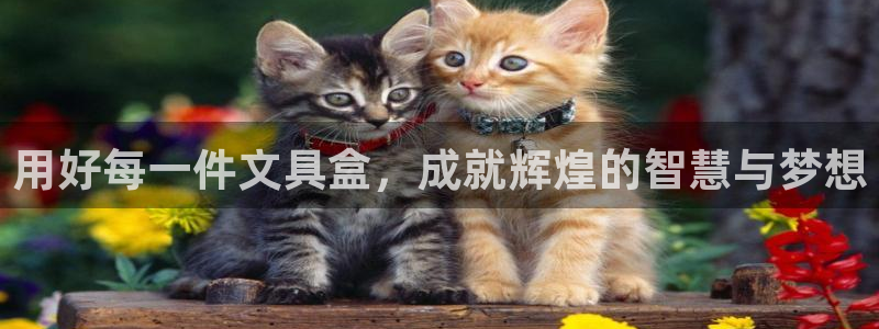 龙八国际手机版入口：用好每一件文具盒，成