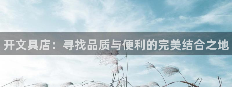 龙八国际网站全网：开文具店：寻找品质与便