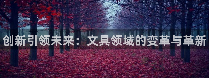 龙八国际什么诈骗：创新引领未来：文具领域