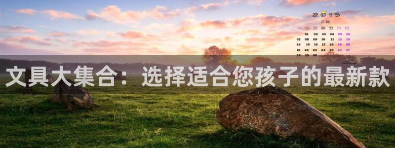 龙八国际视频入口：文具大集合：选择适合您