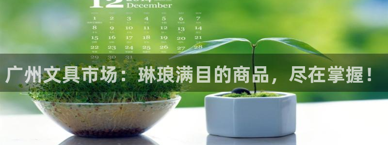 龙八国际pt老虎机官网：广州文具市场：琳