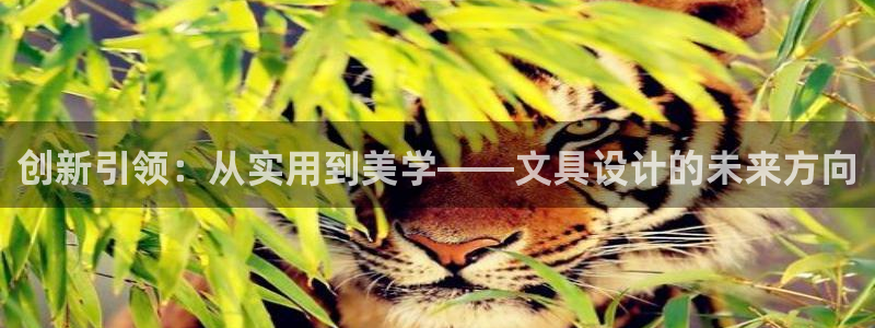 龙八国际改名：创新引领：从实用到美学——