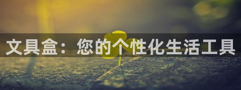 龙八国际手机app：文具盒：您的个性化生