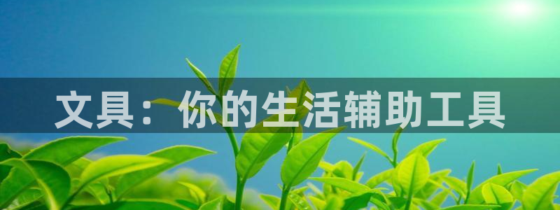 龙八国际官方网站pt：文具：你的生活辅助