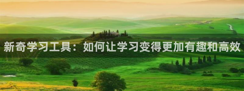 龙八国际2023：新奇学习工具：如何让学