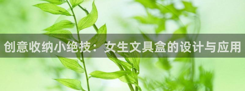 龙八国际app手机版下载苹果：创意收纳小