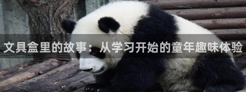 龙八国际网页登陆：文具盒里的故事：从学习