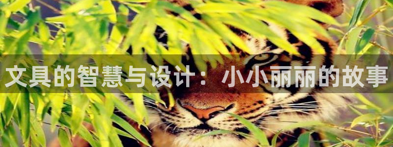 龙八国际官网入口：文具的智慧与设计：小小