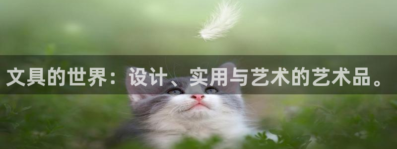 龙八国际娱乐网站多少：文具的世界：设计、