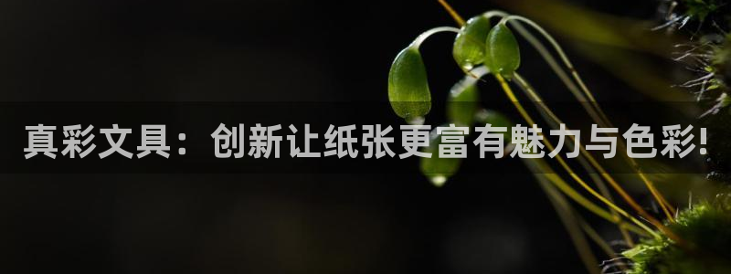 搜索 龙八国际：真彩文具：创新让纸张更富