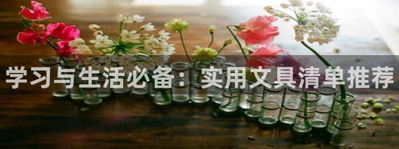 龙八国际黑吗：学习与生活必备：实用文具清