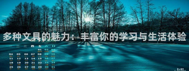 龙八国际刘佳烨：多种文具的魅力：丰富你的