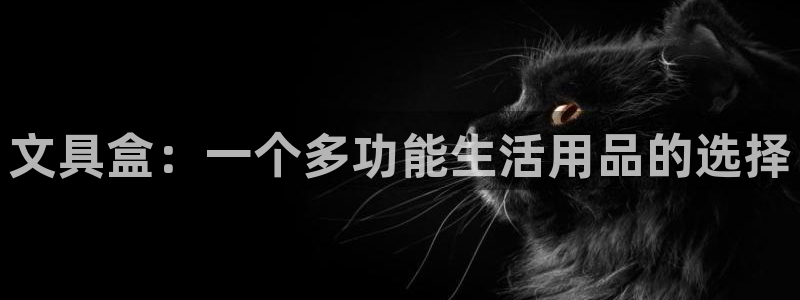 龙八国际提现待审核：文具盒：一个多功能生