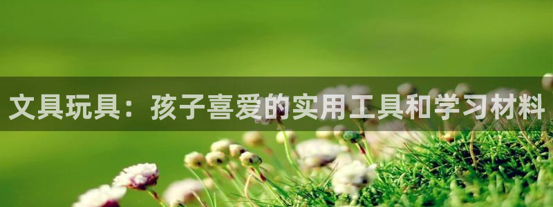 龙八国际怎么进不去了：文具玩具：孩子喜爱