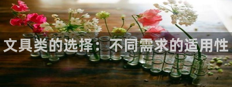 龙八国际登录网：文具类的选择：不同需求的