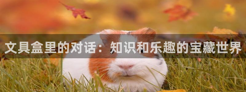龙八国际下载链接：文具盒里的对话：知识和