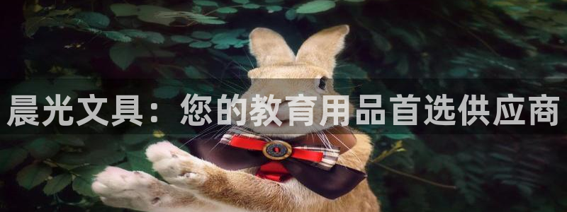 龙八国际网页：晨光文具：您的教育用品首选