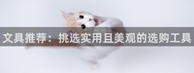 龙八国际app手机端：文具推荐：挑选实用