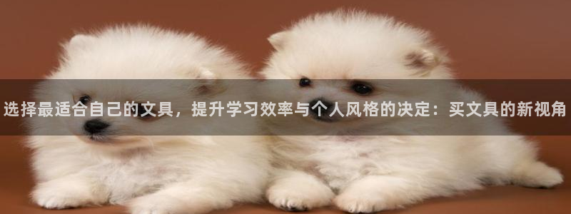 龙八国际登录注册：选择最适合自己的文具，