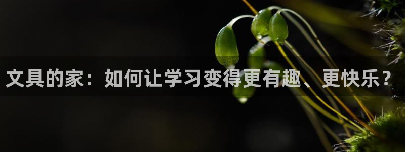 在龙八国际：文具的家：如何让学习变得更有