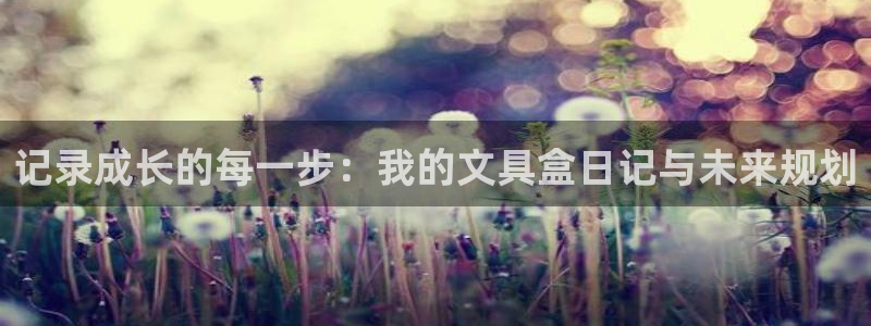 龙八国际下载app苹果：记录成长的每一步