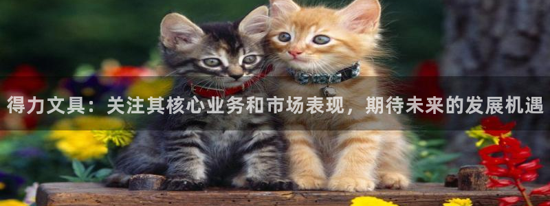 龙八国际登录：得力文具：关注其核心业务和