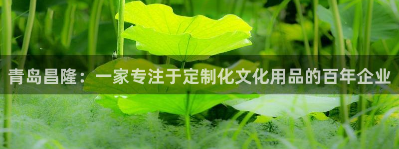 龙八国际88：青岛昌隆：一家专注于定制化