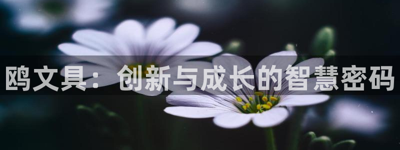 龙八国际l8520：鸥文具：创新与成长的
