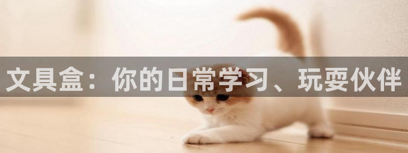 龙八国际手机版首页：文具盒：你的日常学习